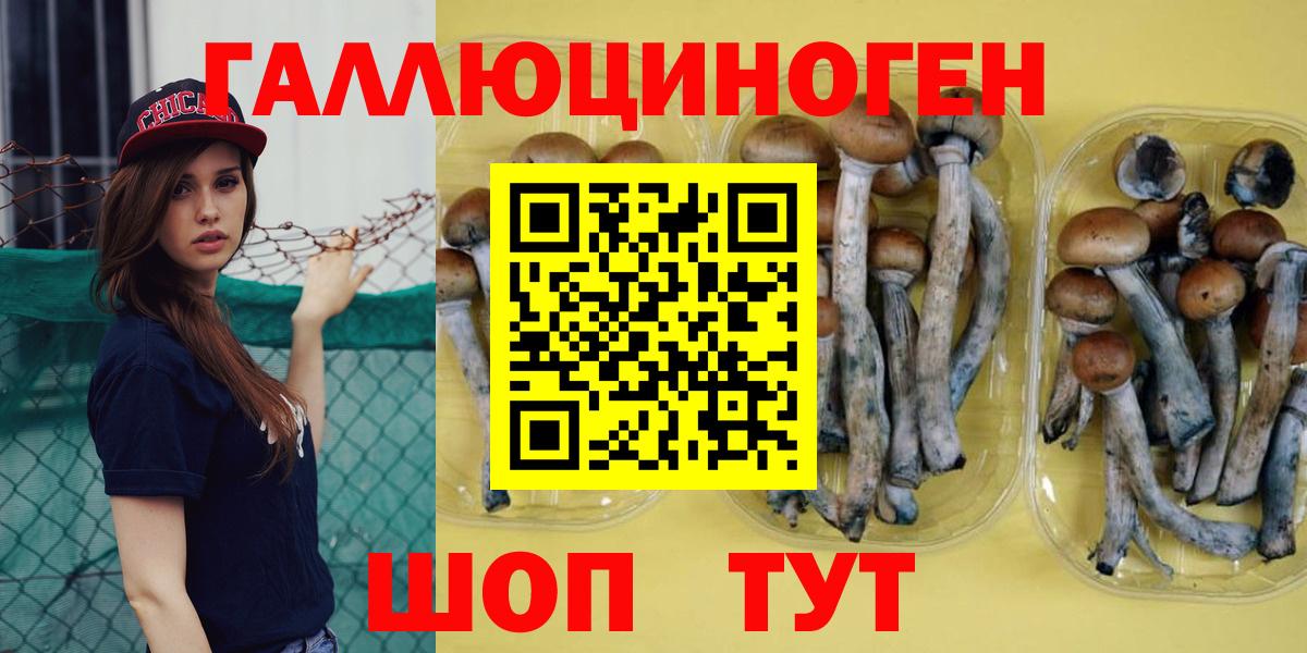 Псилоцибиновые грибы Psilocybe  Вход с VPN  Сатка 